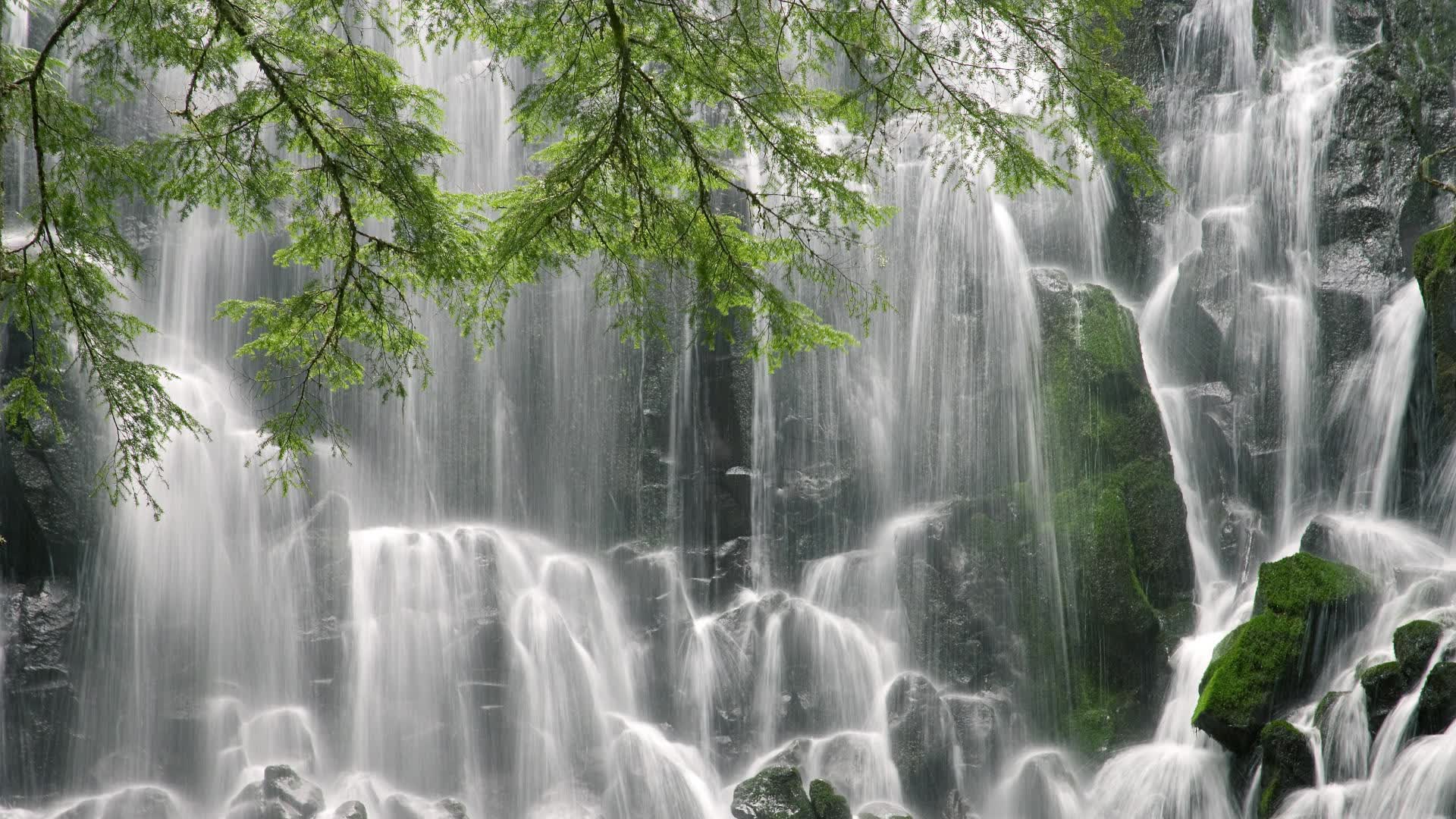 世界攀岩场馆节能改造与绿色运营典型案例发布，攀岩运动设施建设标准